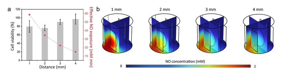 ESCoRT 플랫폼에서 평가한 일산화질소 생성이 종양세포 생존율에 미치는 영향 및 전압에 따른 일산화질소 물질 수송 시뮬레이션 데이터