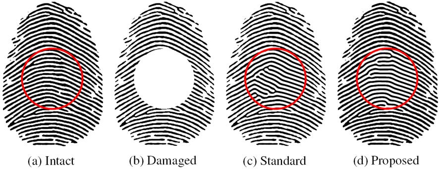 △ [첨부 2] 설명: 편미분방정식을 이용하여 지문을 복원하는 과정을 나타낸 계략도